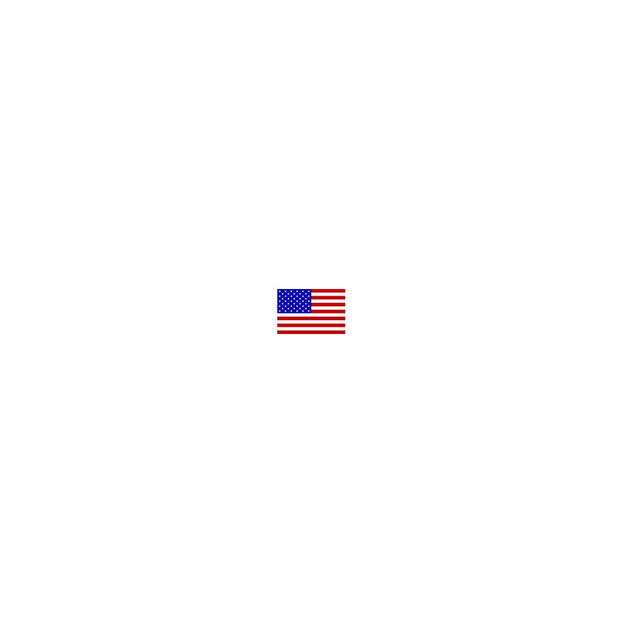 Gæsteflag USA trykt 30x45cm